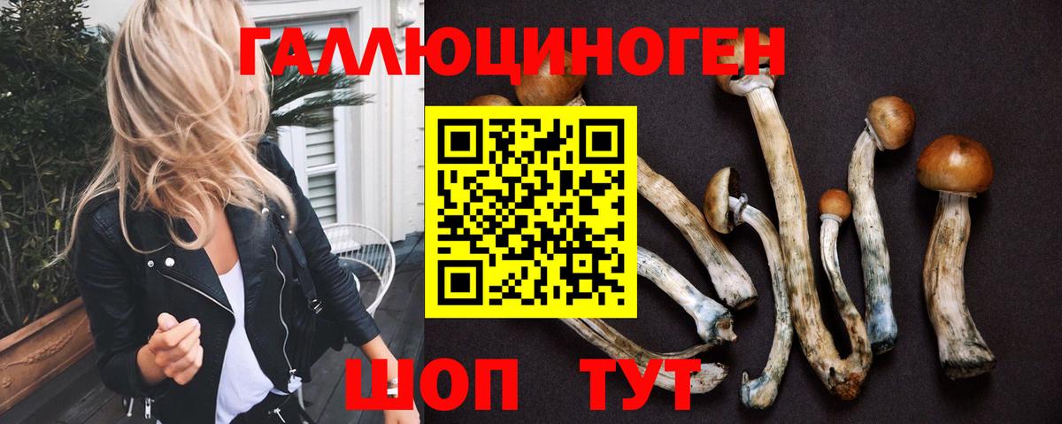 Великие Луки  Галлюциногенные грибы мухоморы  Вход с VPN  Псилоцибиновые грибы MAGIC MUSHROOMS 
